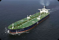 shamseddin20081120112129265.jpg